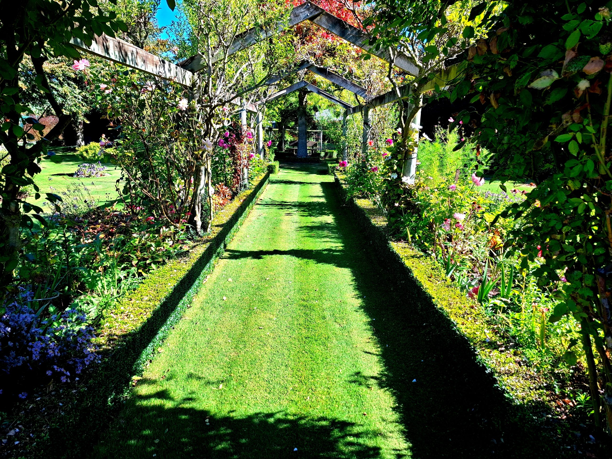 Landscaped garden at Cedar Park Gardens in Rolleston.